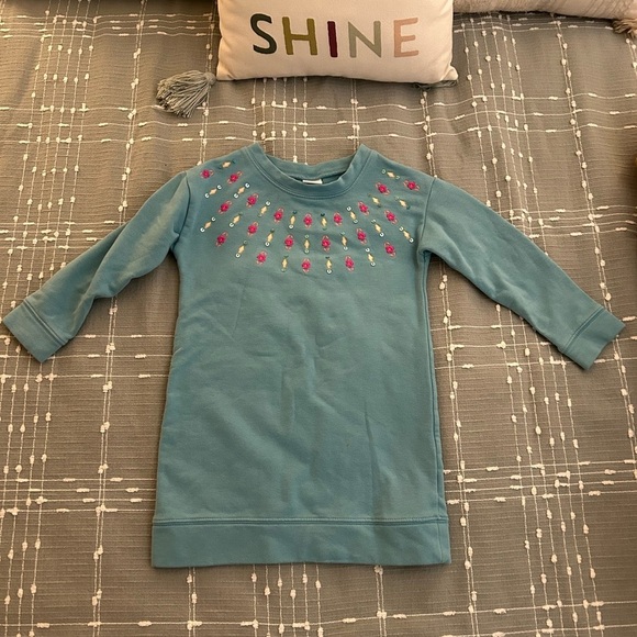 Gymboree Blue tunic sweatshirt with Pink Embroidery size 4 - Picture 1 of 5